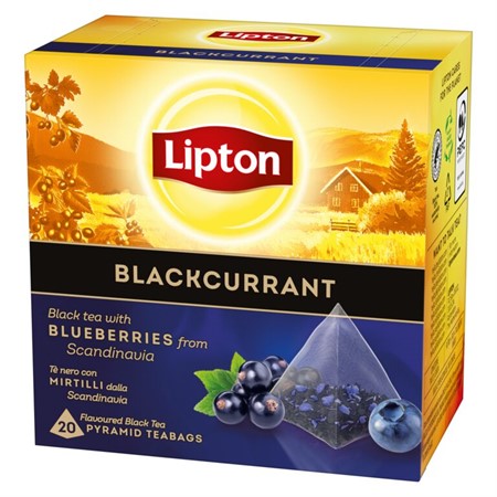 Lipton Blackcurrant Pyramid Bags 12x20-p